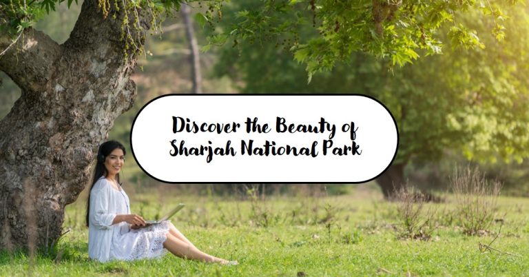 Sharjah National Park – Everything You Need to Know